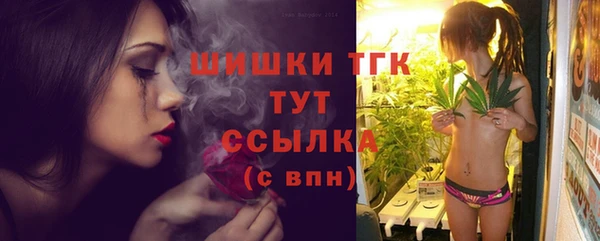 ПСИЛОЦИБИНОВЫЕ ГРИБЫ Нижний Тагил