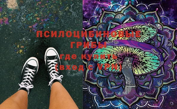 мяу мяу мука Лабытнанги