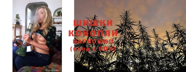 ПСИЛОЦИБИНОВЫЕ ГРИБЫ Нижний Тагил