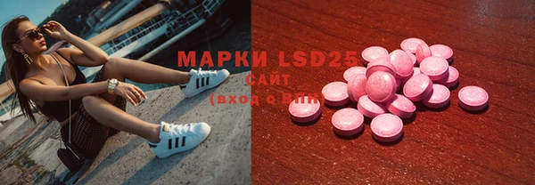 ECSTASY Ладушкин
