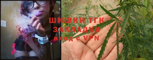 сатива Лихославль