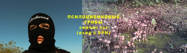 сатива Лихославль