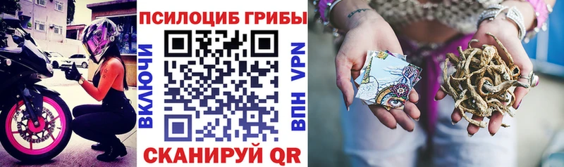 Галлюциногенные грибы прущие грибы  где продают наркотики  Яранск 